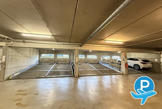 FRA Parking - Frankfurt am Main, Flughafen Frankfurt (disabled) 3