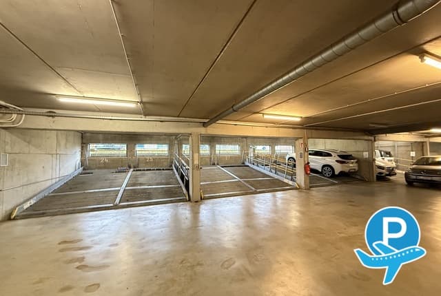 FRA Parking - Frankfurt am Main, Flughafen Frankfurt (disabled) 1